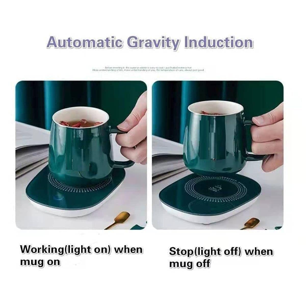 Sigmastore Coffee Warmer